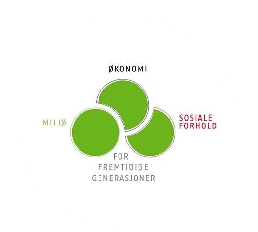 Et bilde av ABUS’ bærekraftkonsept med de tre hovedtemaene miljø, økonomi og sosiale forhold med teksten «For future generations» © ABUS